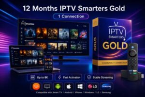 Best IPTV Subscription 12 Months 1 Connection